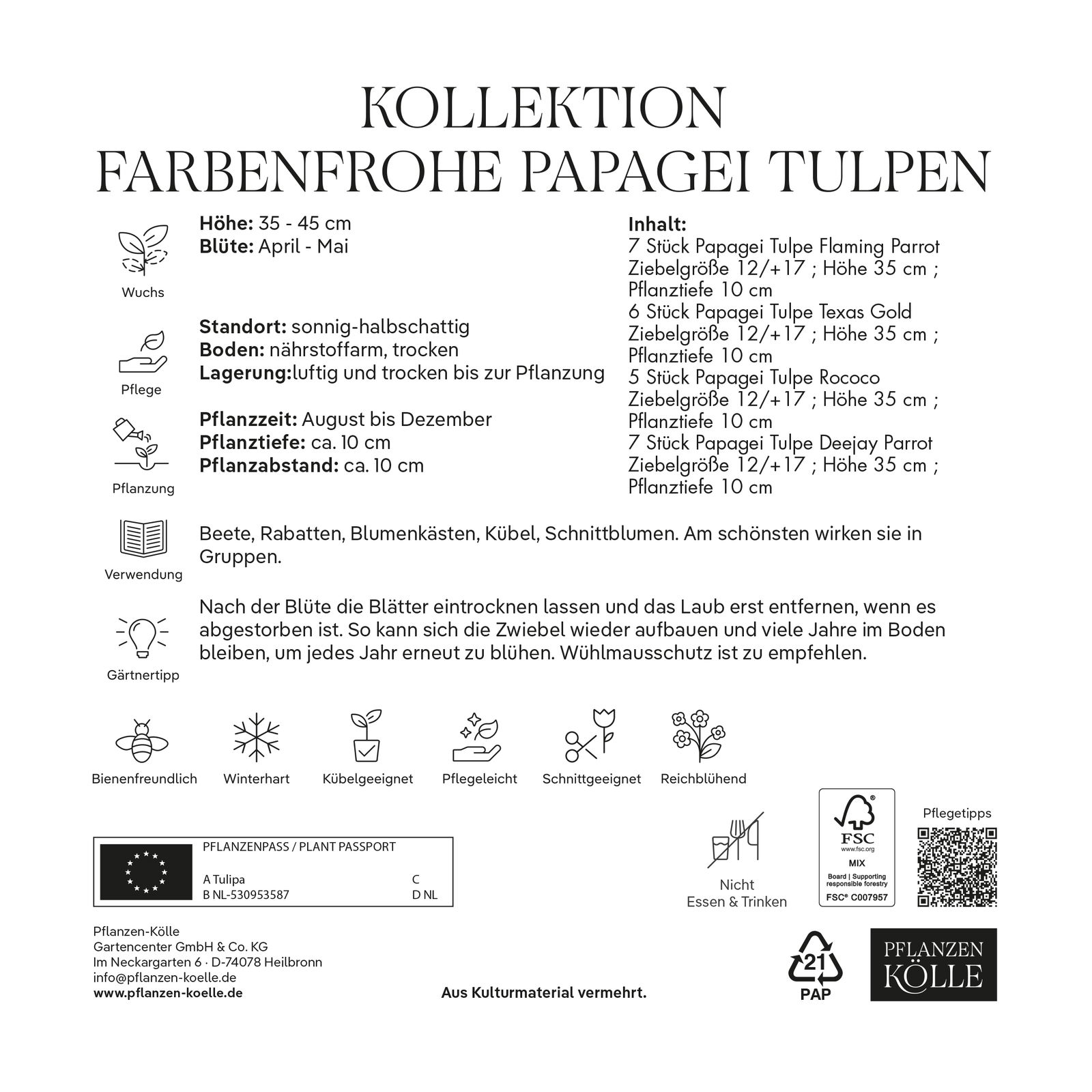 Kollektion Farbenfrohe Papageien-Tulpen 25 Blumenzwiebeln