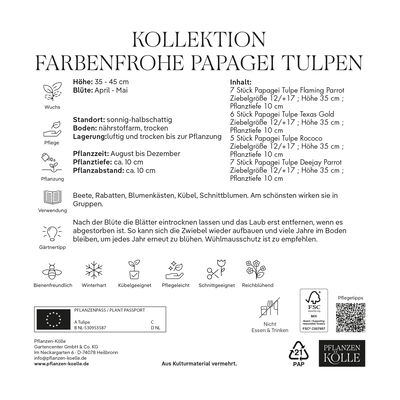 Kollektion Farbenfrohe Papageien-Tulpen 25 Blumenzwiebeln Kollektion Farbenfrohe Papageien-Tulpen 25 Blumenzwiebeln