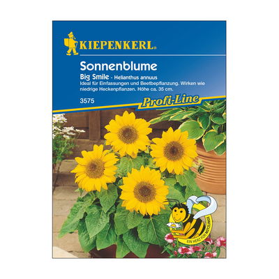 Sonnenblumensamen, Sonnenblume 'Big Smile'