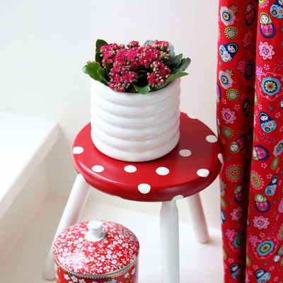 Kalanchoe 'Calandiva'®, rot, Topf-Ø 12 cm, Höhe ca. 27,5 cm, 6er-Set