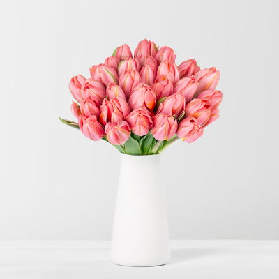 30 pinke Tulpen 'Pretty Princess' 30 pinke Tulpen 'Pretty Princess'