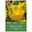 Papagei-Tulpen Texas Gold gel/grün, 7 Blumenzwiebeln Papagei-Tulpen Texas Gold gel/grün, 7 Blumenzwiebeln