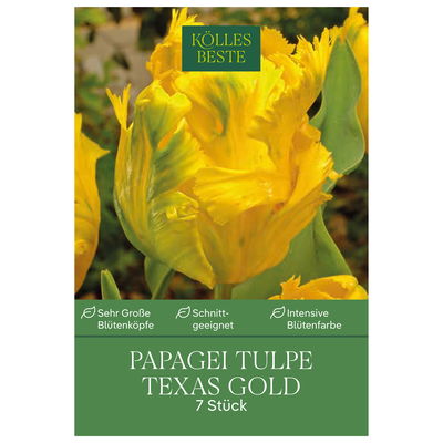 Papagei-Tulpen Texas Gold gel/grün, 7 Blumenzwiebeln