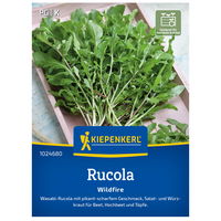 Kiepenkerl Saatgut Rukola 'Wildfire'