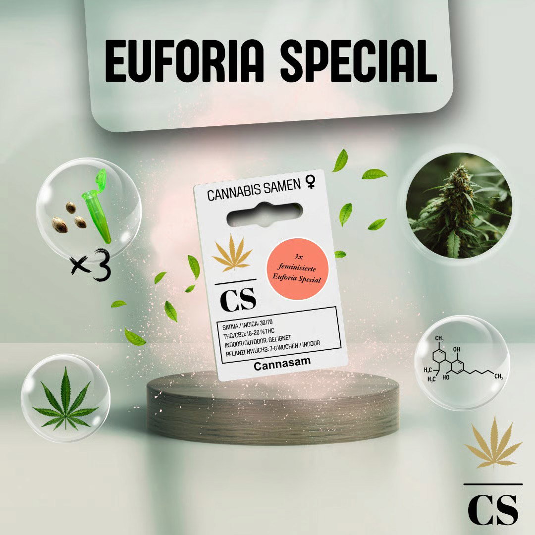 Cannabis Saatgut Hanf 'Euforia Special'