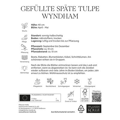 gefüllte Tulpen 'Wyndham', rot, weißer Rand, Größe 11/12, 7 Blumenzwiebeln gefüllte Tulpen 'Wyndham', rot, weißer Rand, Größe 11/12, 7 Blumenzwiebeln