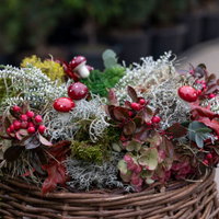 Gartenschule Kreativ Gartenschule Kreativ