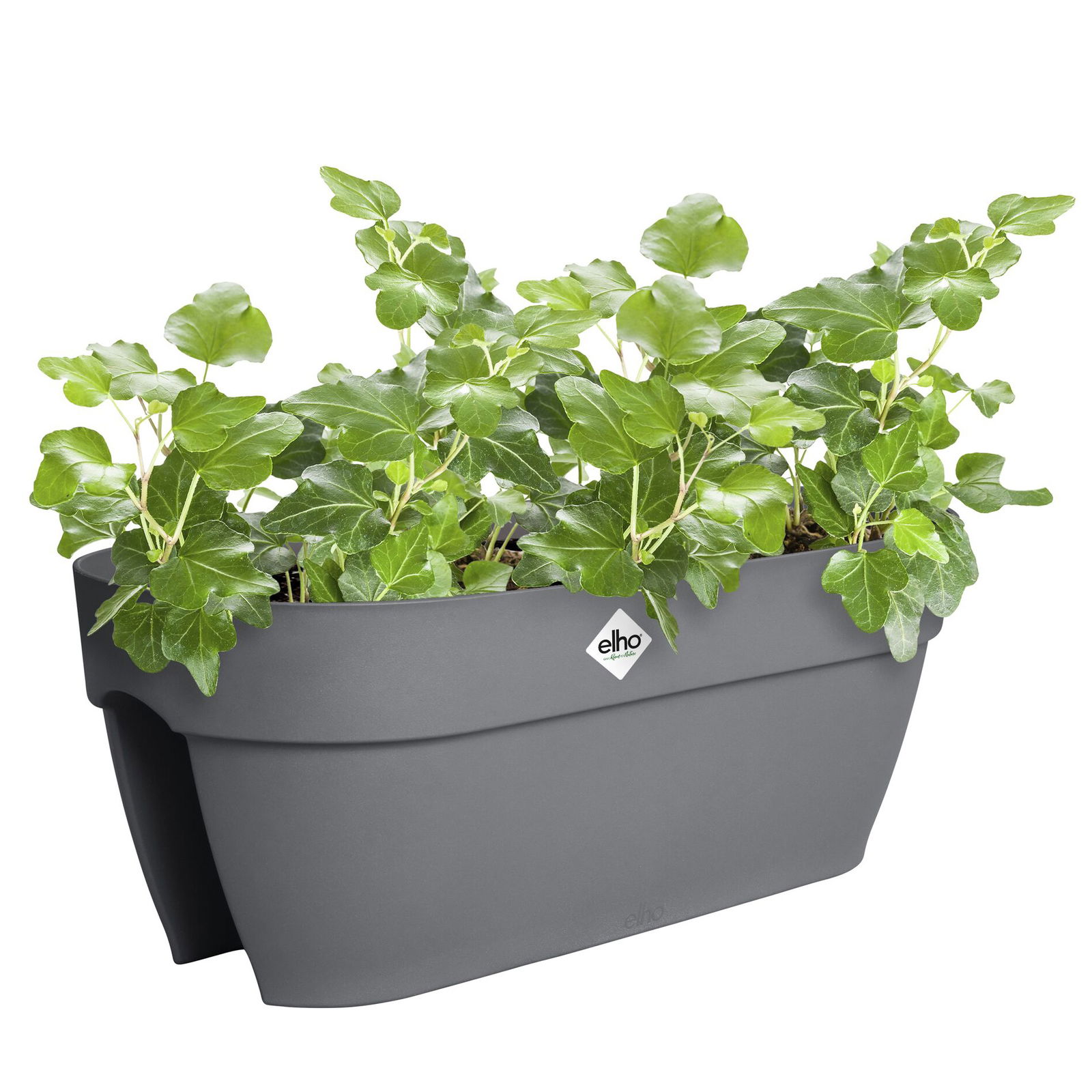 Elho Pflanzgefäß 'Vibia Campana Flower Bridge', anthrazit Elho Pflanzgefäß 'Vibia Campana Flower Bridge', anthrazit