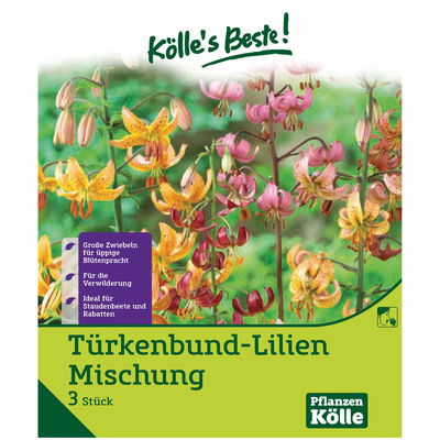 Türkenbundlilie Mischung, Gr. 16/18, 3 Blumenknollen Türkenbundlilie Mischung, Gr. 16/18, 3 Blumenknollen