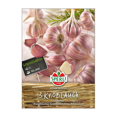 Knoblauch 'Germidour',  weiß, violett, 3 Knollen