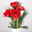 Blumenbund Amaryllis 'Red Nymph' gefüllt & Seidenkiefer,inkl. gratis Grußkarte