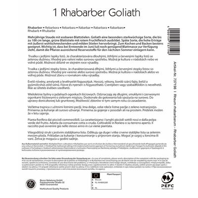 Kiepenkerl Rhabarber 'Goliath®' Kiepenkerl Rhabarber 'Goliath®'