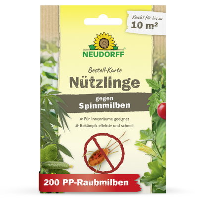 Neudorff Bestell-Set Nützlinge gegen Spinnmilben, für bis zu 10 m² Neudorff Bestell-Set Nützlinge gegen Spinnmilben, für bis zu 10 m²