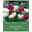 Tulpenkollektion 'Tulpentraum', rosa, weiß, lila, Größe 12+, 15 Blumenzwiebeln Tulpenkollektion 'Tulpentraum', rosa, weiß, lila, Größe 12+, 15 Blumenzwiebeln