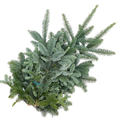 Nobilis Tannenzweige im Bund, Länge 60-90 cm, ca. 2,5 kg, 2 Bund