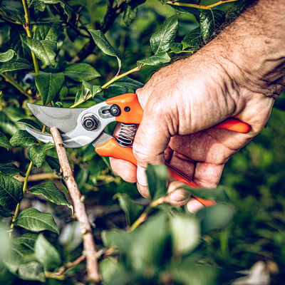 Gartenschere Original Löwe 14, Länge ca. 19 cm Gartenschere Original Löwe 14, Länge ca. 19 cm