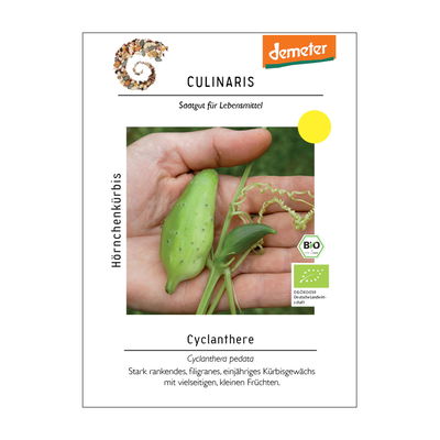Kürbissamen, Cyclanthere 'Hörnchenkürbis' Kürbissamen, Cyclanthere 'Hörnchenkürbis'