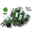 Duftgeranie 'Freshfruity® Mint', grün-weiß, Topf-Ø 12 cm, 6 Pflanzen