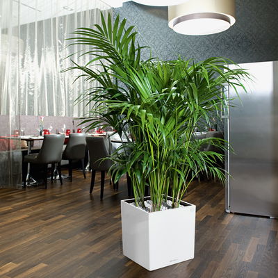 Lechuza 'Cube Premium 30', weiß, ca. 29,5 x 29,5 x H 30 cm Lechuza 'Cube Premium 30', weiß, ca. 29,5 x 29,5 x H 30 cm