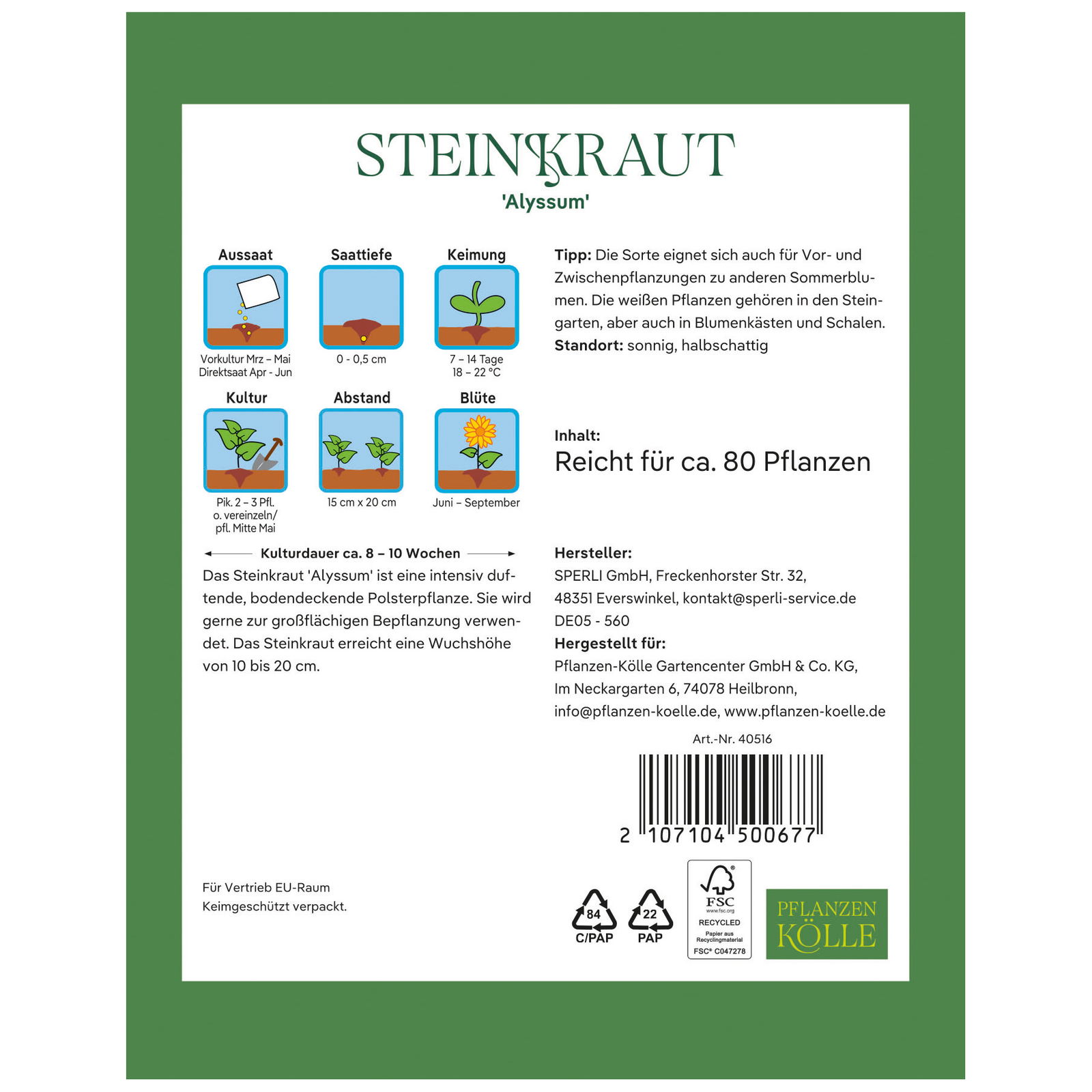 Kölles Beste Blumensamen, Steinkraut 'Alyssum'