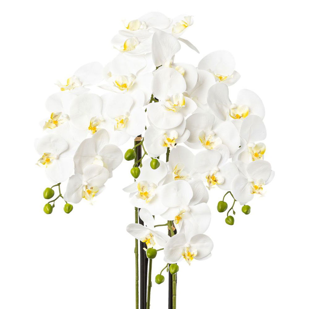 Kunstpflanze Phalaenopsis im Topf, Höhe ca. 99 cm