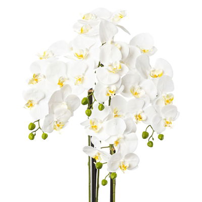 Kunstpflanze Phalaenopsis, weiß, Höhe ca. 99 cm Kunstpflanze Phalaenopsis, weiß, Höhe ca. 99 cm