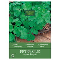 Kölles Beste Kräutersamen, Petersilie 'Gigante di Napoli' Kölles Beste Kräutersamen, Petersilie 'Gigante di Napoli'