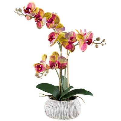 Kunstpflanze Phalaenopsis, gelb/pink/grau, Höhe ca. 48 cm