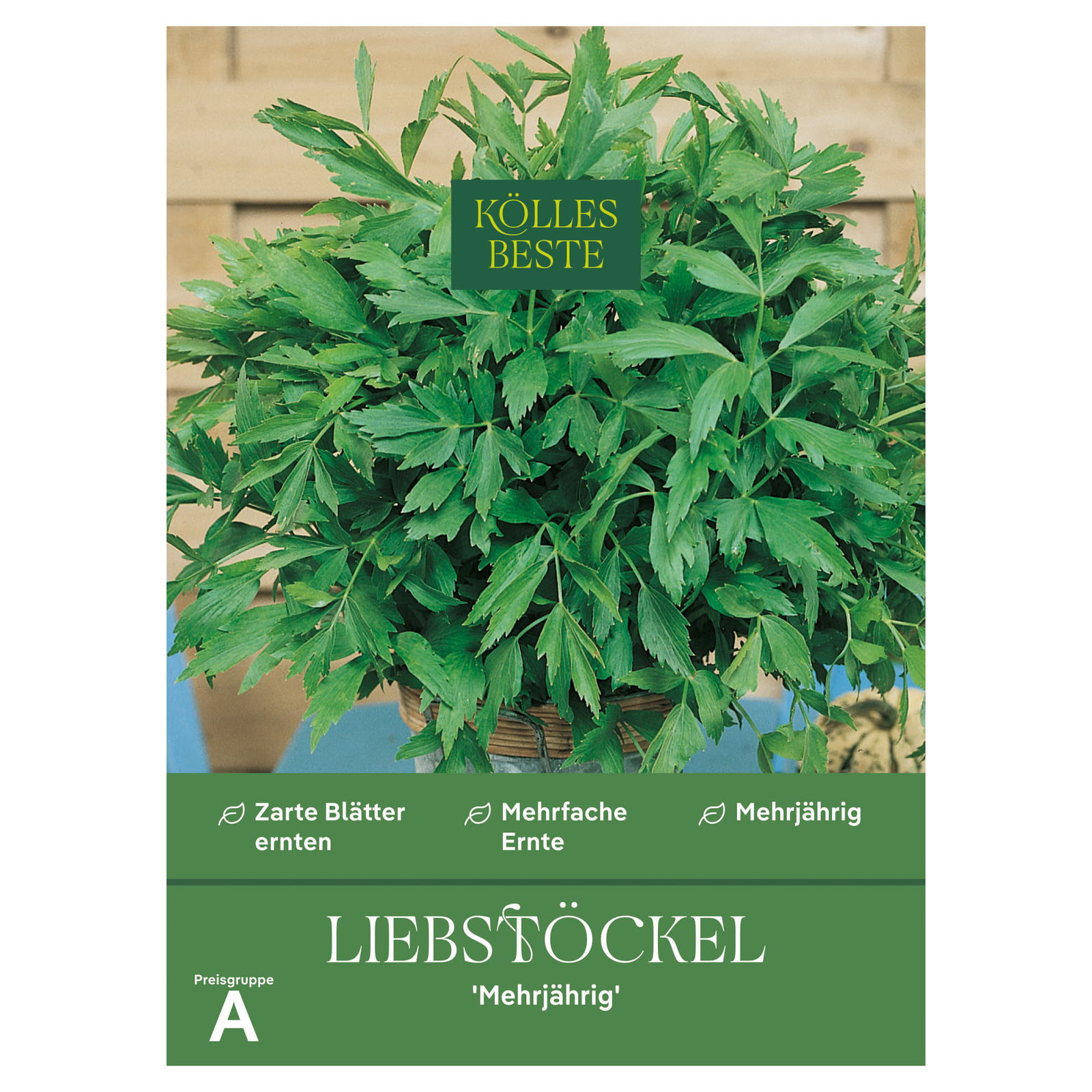 Kölles Beste Kräutersamen, Liebstöckel 'Mehrjährig'