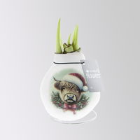 Amaryllis in Wachs, Dekor 'Santa & Friends' nach Verfügbarkeit, Blüte rot