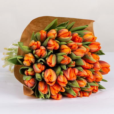 30 orangene Tulpen 'Princess Irene' 30 orangene Tulpen 'Princess Irene'