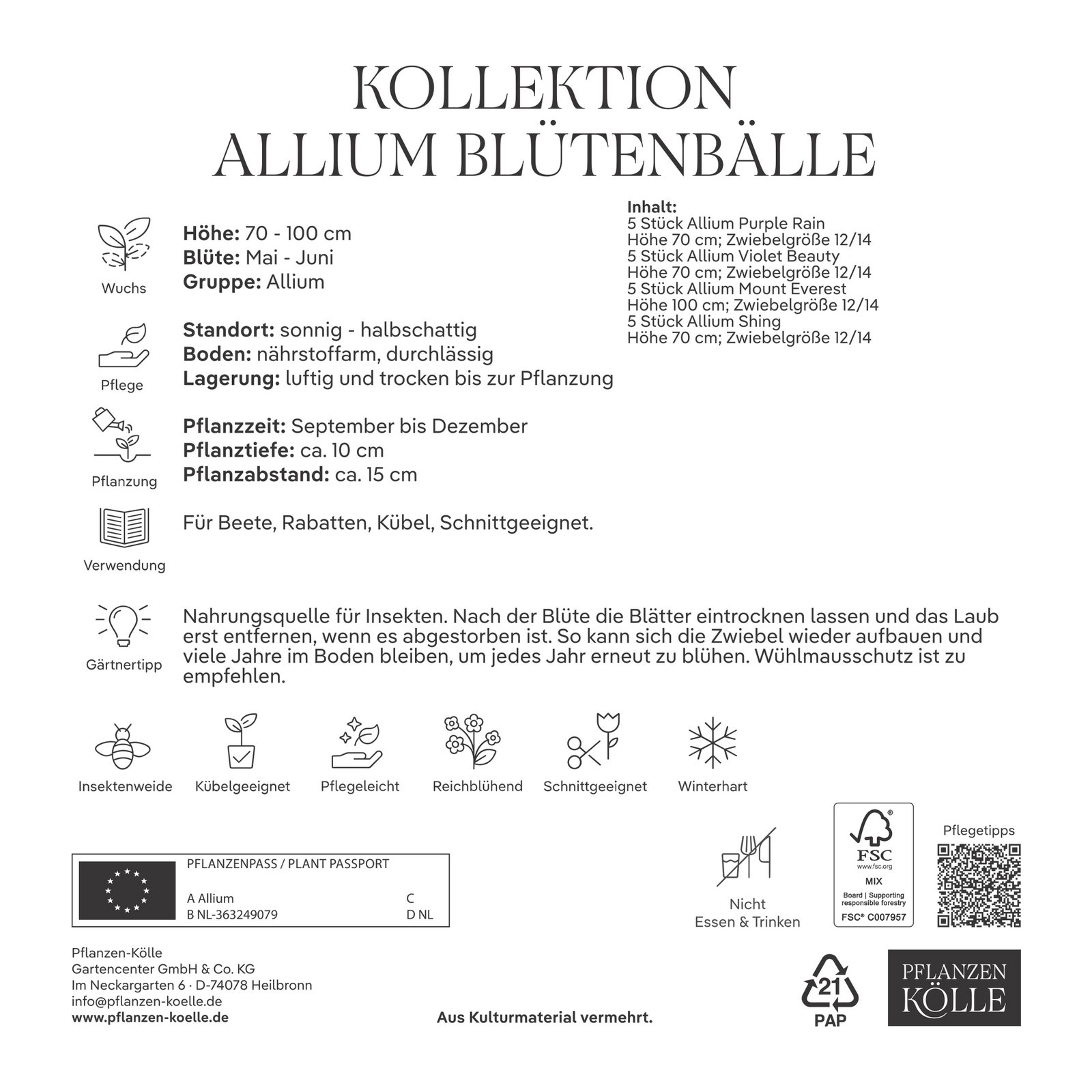 Allium Mischung, 20 Blumenzwiebeln Allium Mischung, 20 Blumenzwiebeln