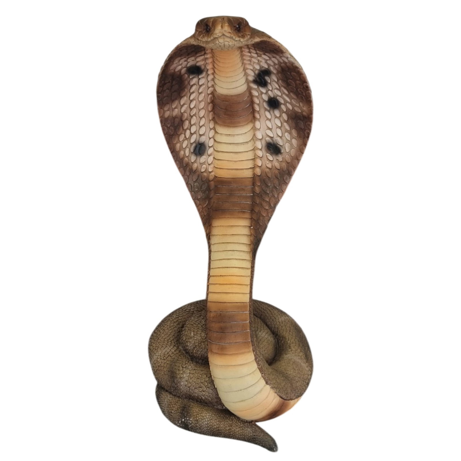 Deko Kobra, braun, Höhe ca. 48 cm
