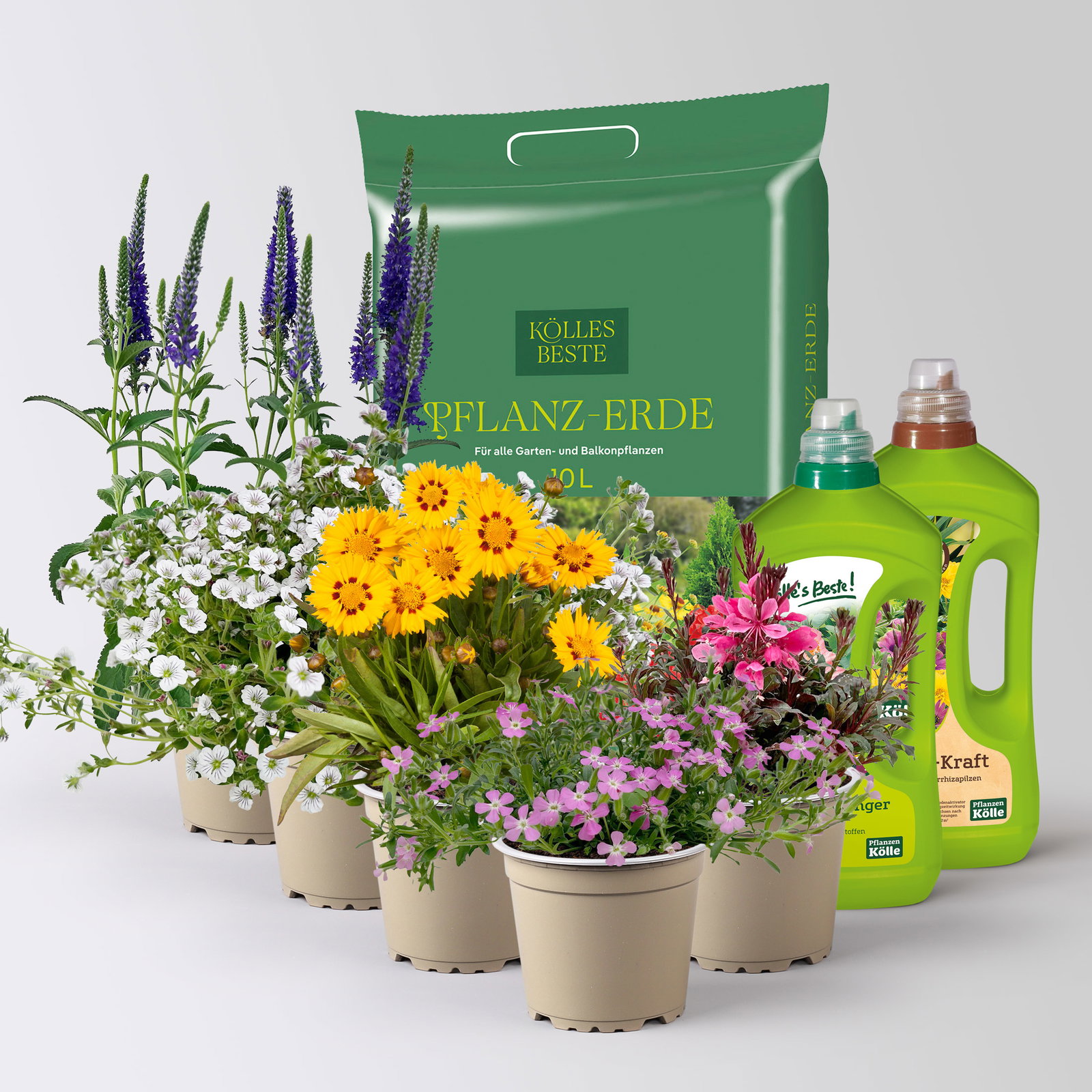 Pflanzenkreation Blütengeflüster, 5 Pflanzen inkl. Erde und Dünger