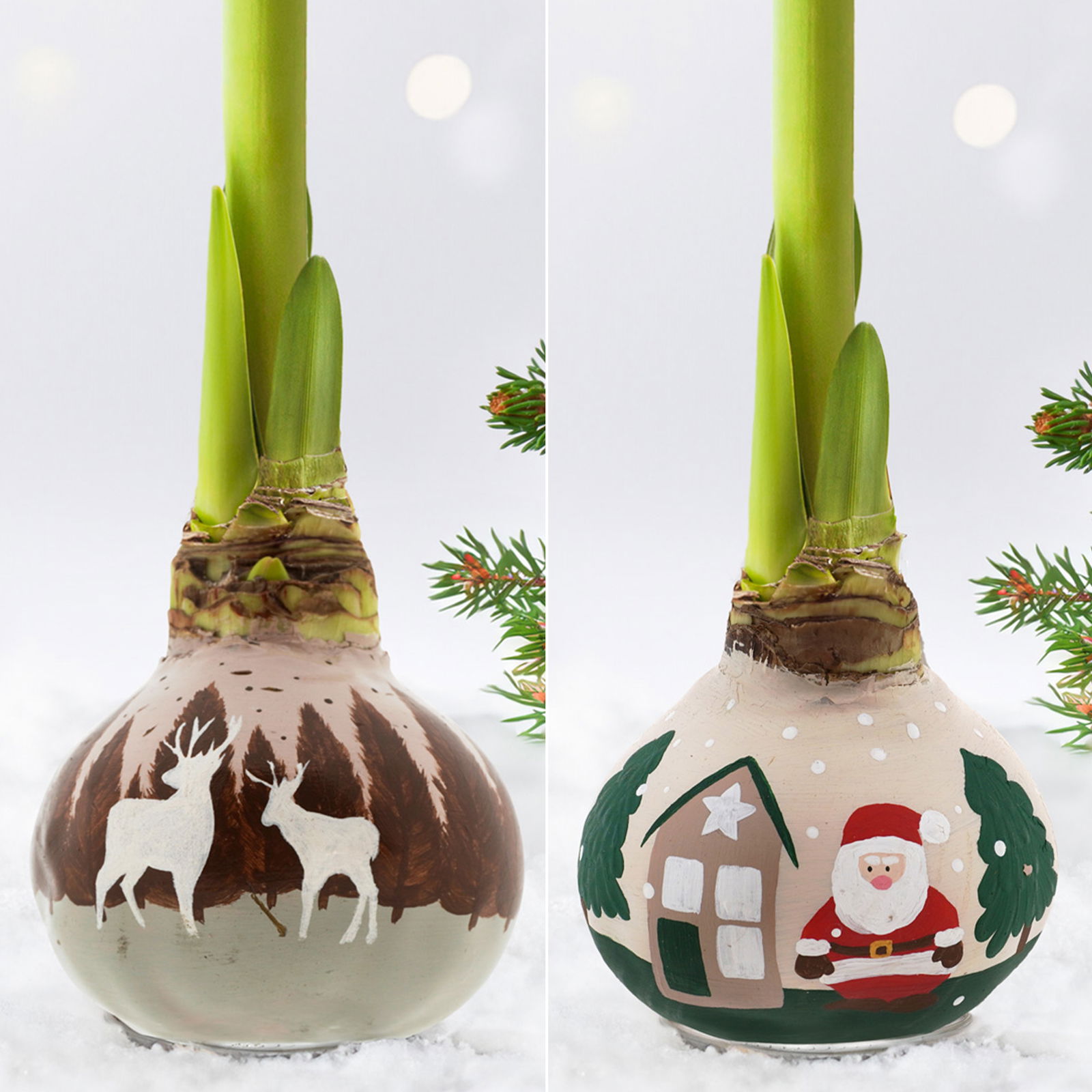 Amaryllis in Wachs, Dekor 'Forest & Nikolaus', handbemalt, Blüte rot