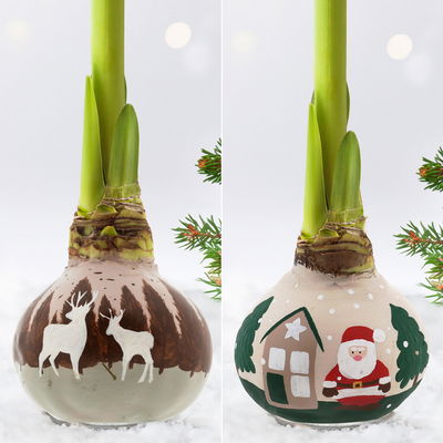 Amaryllis in Wachs, Dekor 'Forest & Nikolaus', handbemalt, Blüte rot Amaryllis in Wachs, Dekor 'Forest & Nikolaus', handbemalt, Blüte rot