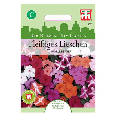 Thompson & Morgan Blumensamen Fleißiges Lieschen Worldbeater Thompson & Morgan Blumensamen Fleißiges Lieschen Worldbeater