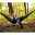 Single-Reisehängematte Colibri 3.0, Canyon, bis 180 kg, reißfest, leicht