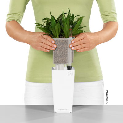 Lechuza 'Mini-Cubi', anthrazit, ca. 9,5 x 9,5 x H 18,5 cm