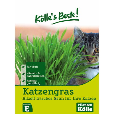 Kölles Beste Katzengras Samen