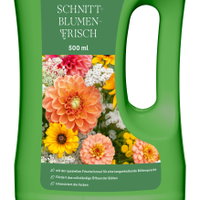 Kölles Beste Schnittblumenfrisch, 500 ml