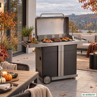 Buschbeck Gasgrill 'Premium P1000' Buschbeck Gasgrill 'Premium P1000'
