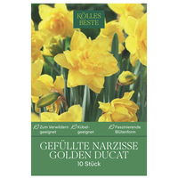 Großpackung Gefüllte Narzissen Golden Ducat gelb, 10 Blumenzwiebeln