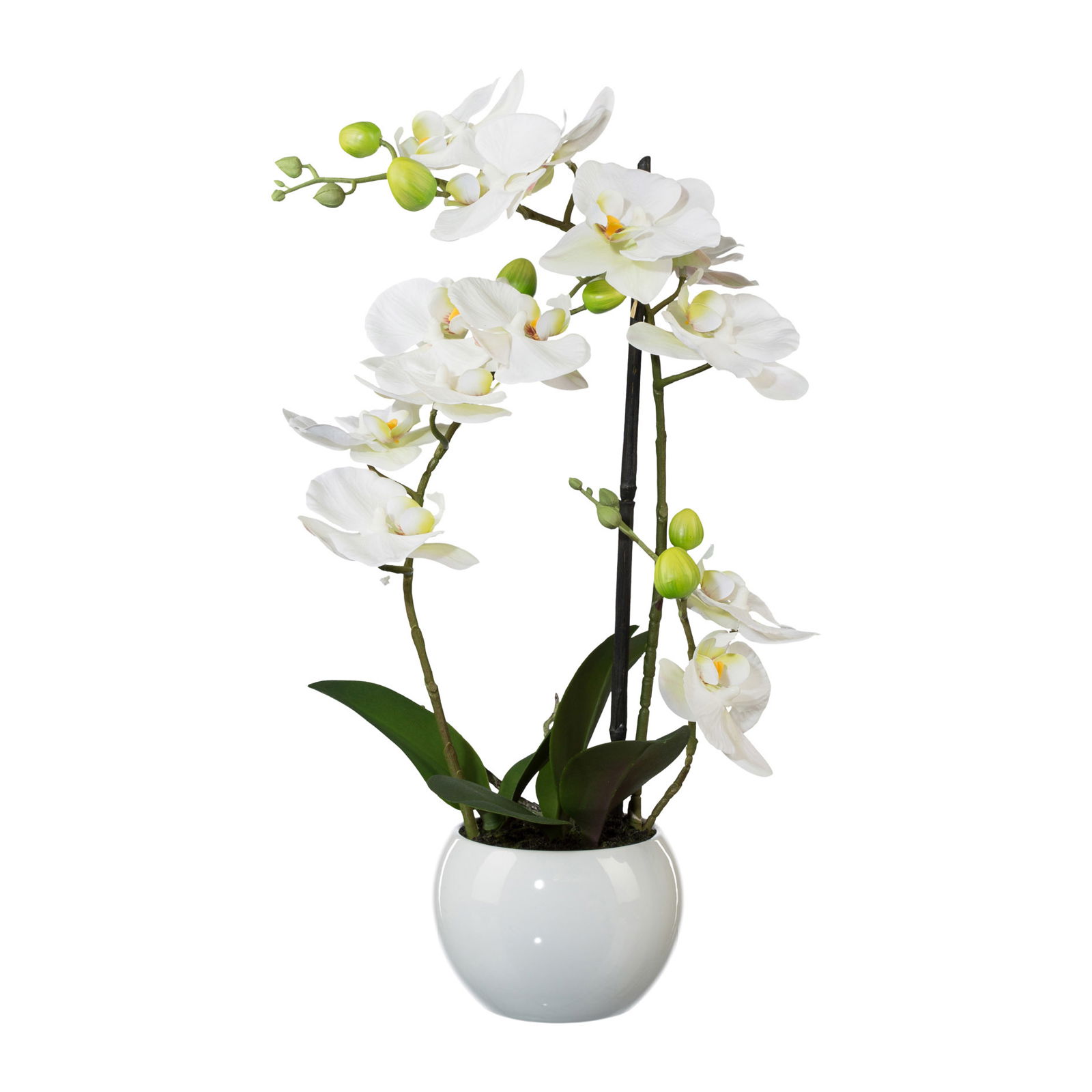 Kunstpflanze Phalaenopsis 'Real Touch', weiß, Topf-Ø 11,5 cm, Höhe ca. 42 cm