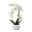 Kunstpflanze Phalaenopsis 'Real Touch', weiß, Topf-Ø 11,5 cm, Höhe ca. 42 cm