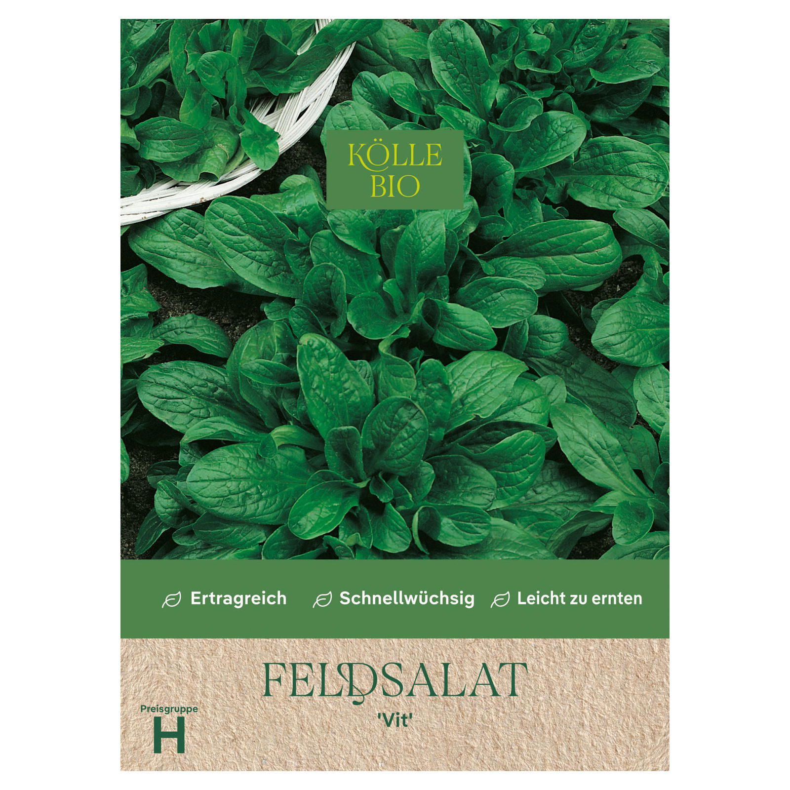 Kölle Bio Gemüsesamen, Feldsalat 'Vit' Kölle Bio Gemüsesamen, Feldsalat 'Vit'