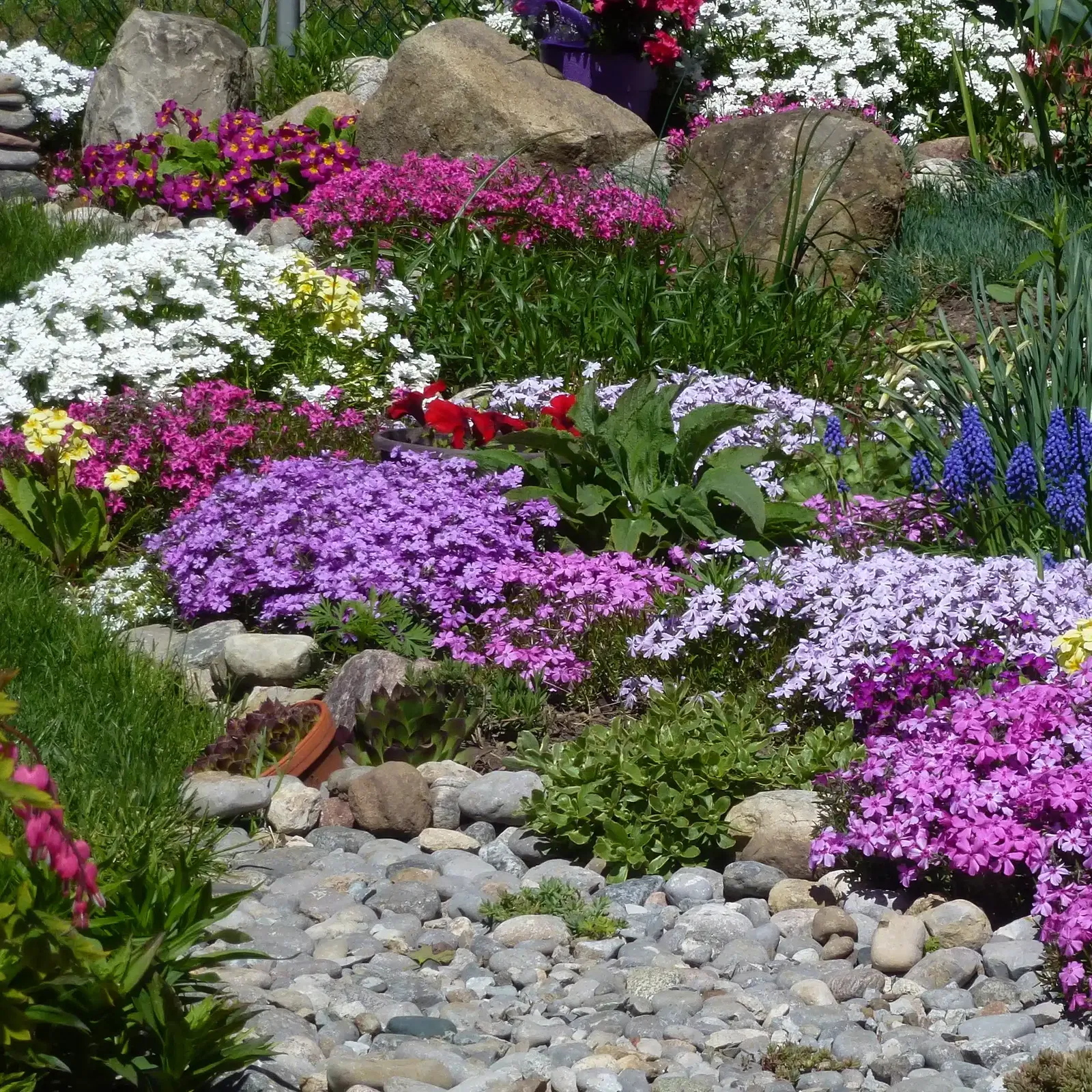 Frühlingsgarten mit Stauden Frühlingsgarten mit Stauden