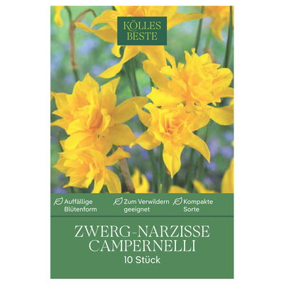 Zwergnarzissen Campernelli gelb, 10 Blumenzwiebeln Zwergnarzissen Campernelli gelb, 10 Blumenzwiebeln