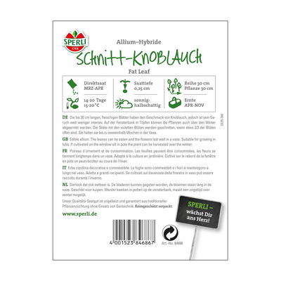 Sperli's Schnitt-Knoblauch Fat Leaf, Allium-Hybride Sperli's Schnitt-Knoblauch Fat Leaf, Allium-Hybride