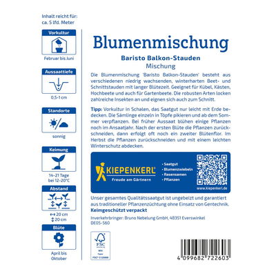 Saatgut, Blumenmischung Balkon-Stauden 'Baristo'